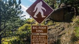 Bigfoot has been Discovered