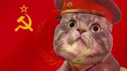 soviet-cat.wmv