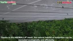 How to use butterfly netting. ABEMALLA®